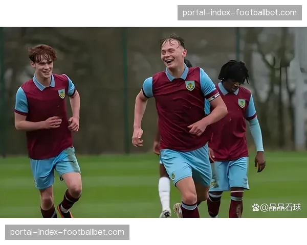 伯恩利0-2负于布莱顿，积20分位列倒数第二